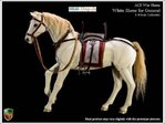 H04 ACI - Horse - White for General 1:6